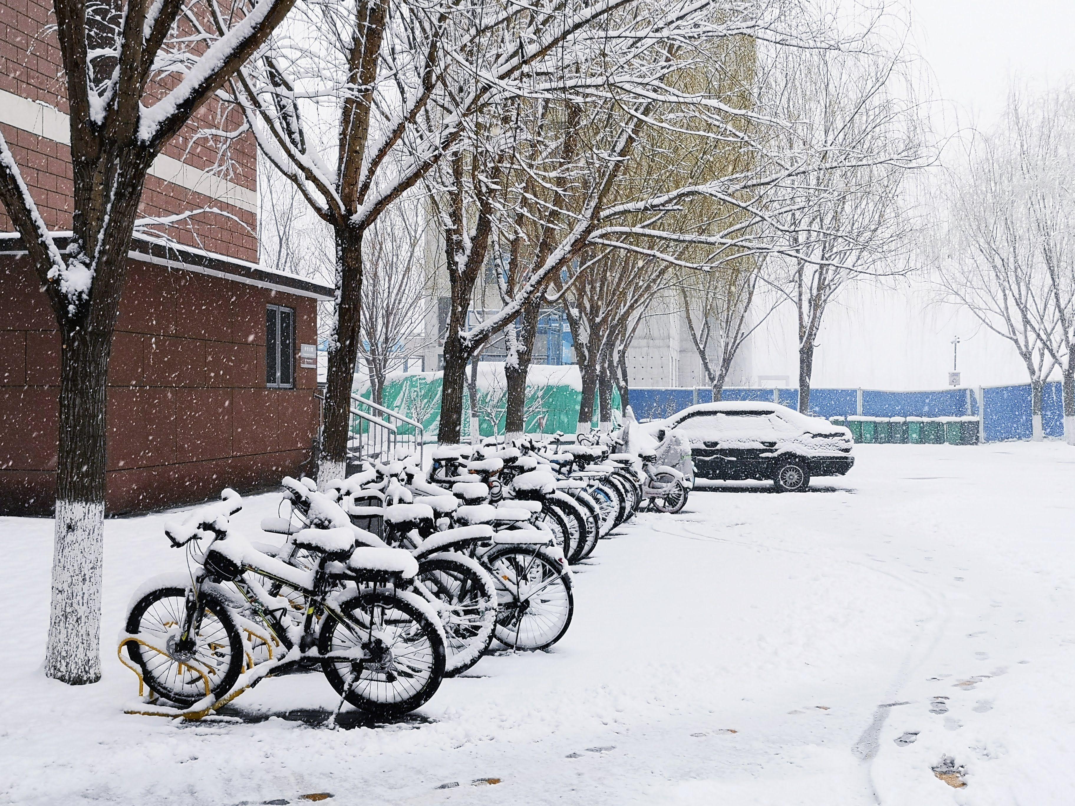 At the corner of the dormitory, a bicycle covered in snow