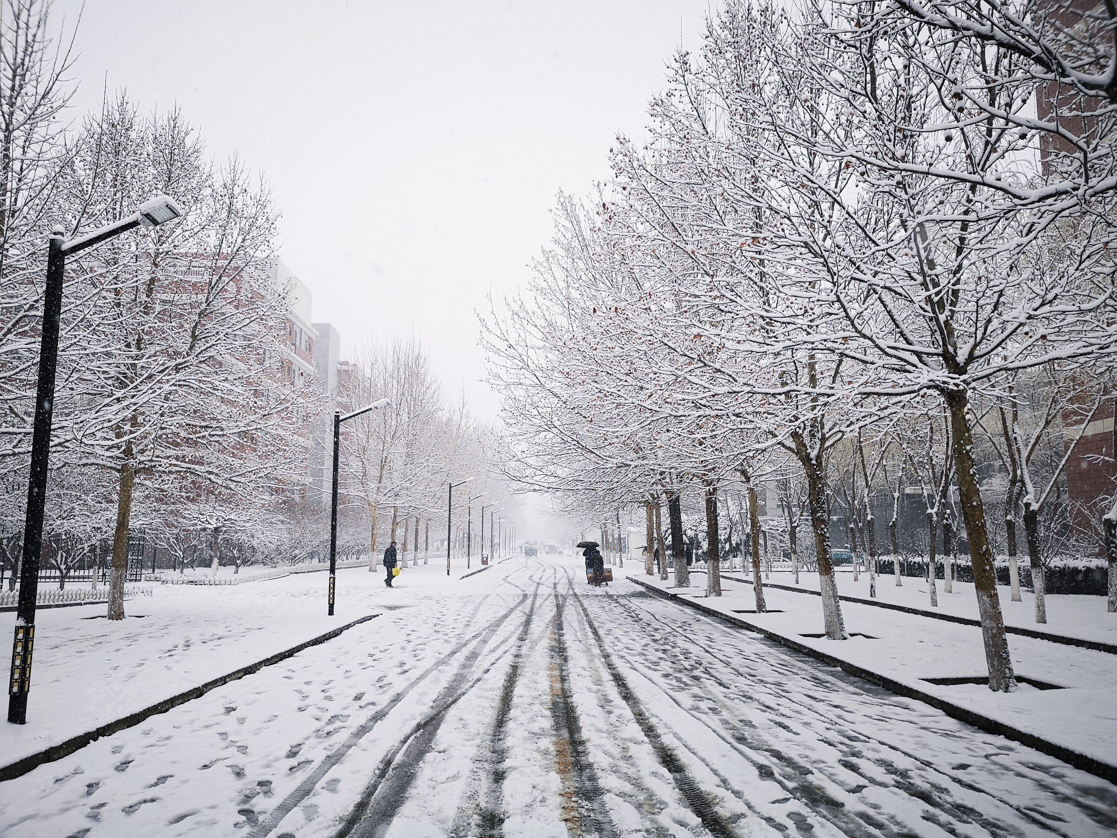 Main road of the school