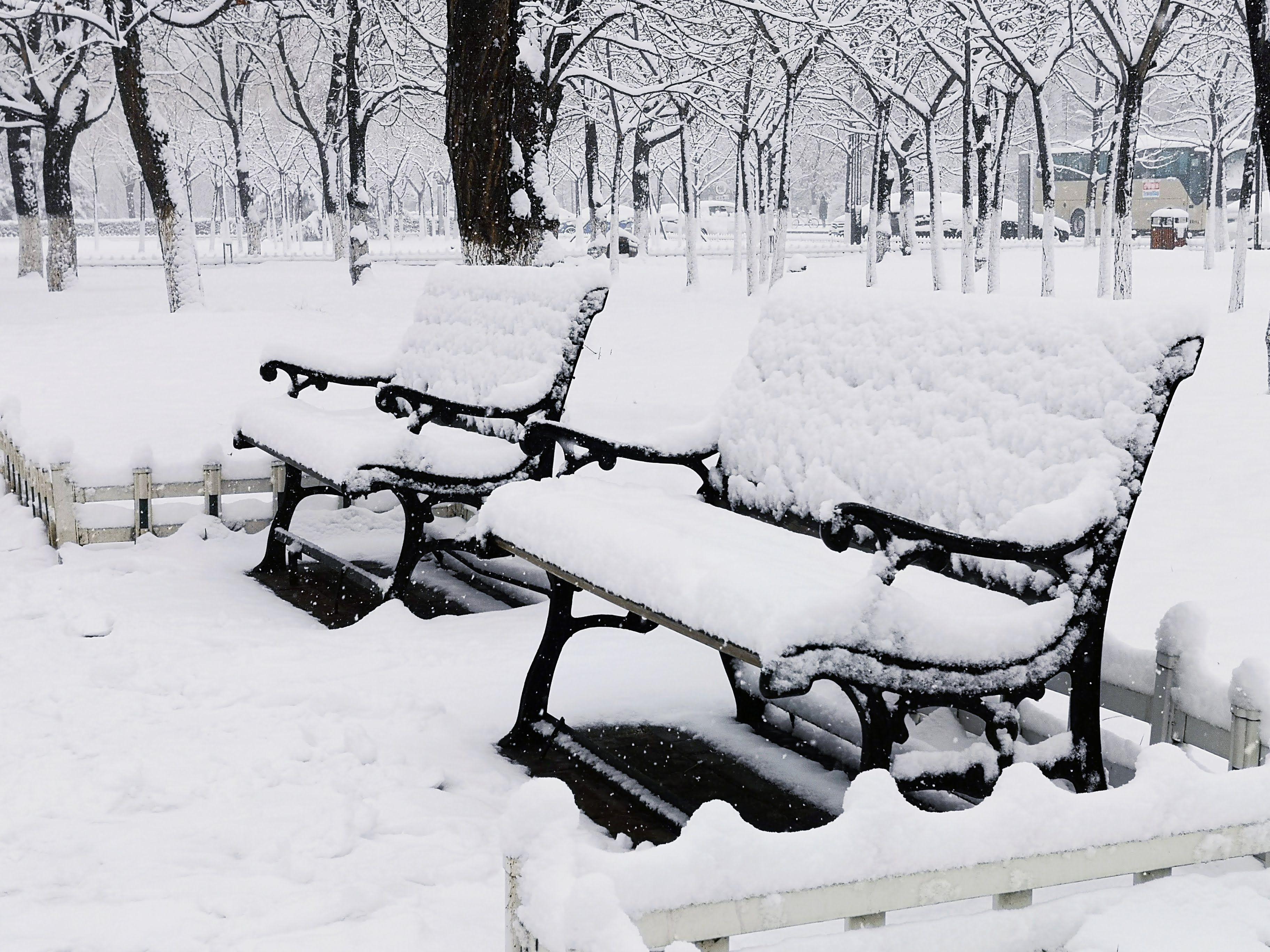 Finally found a bench with intact snow. The others were all used to build snowmen